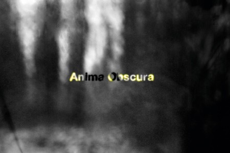 Anima Obscura cover
